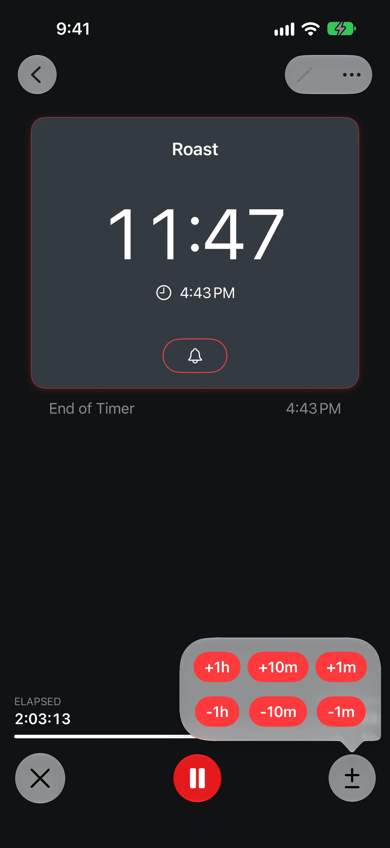 Screenshot of Timer+ showing a roast timer running and controls to adjust its remaining time.