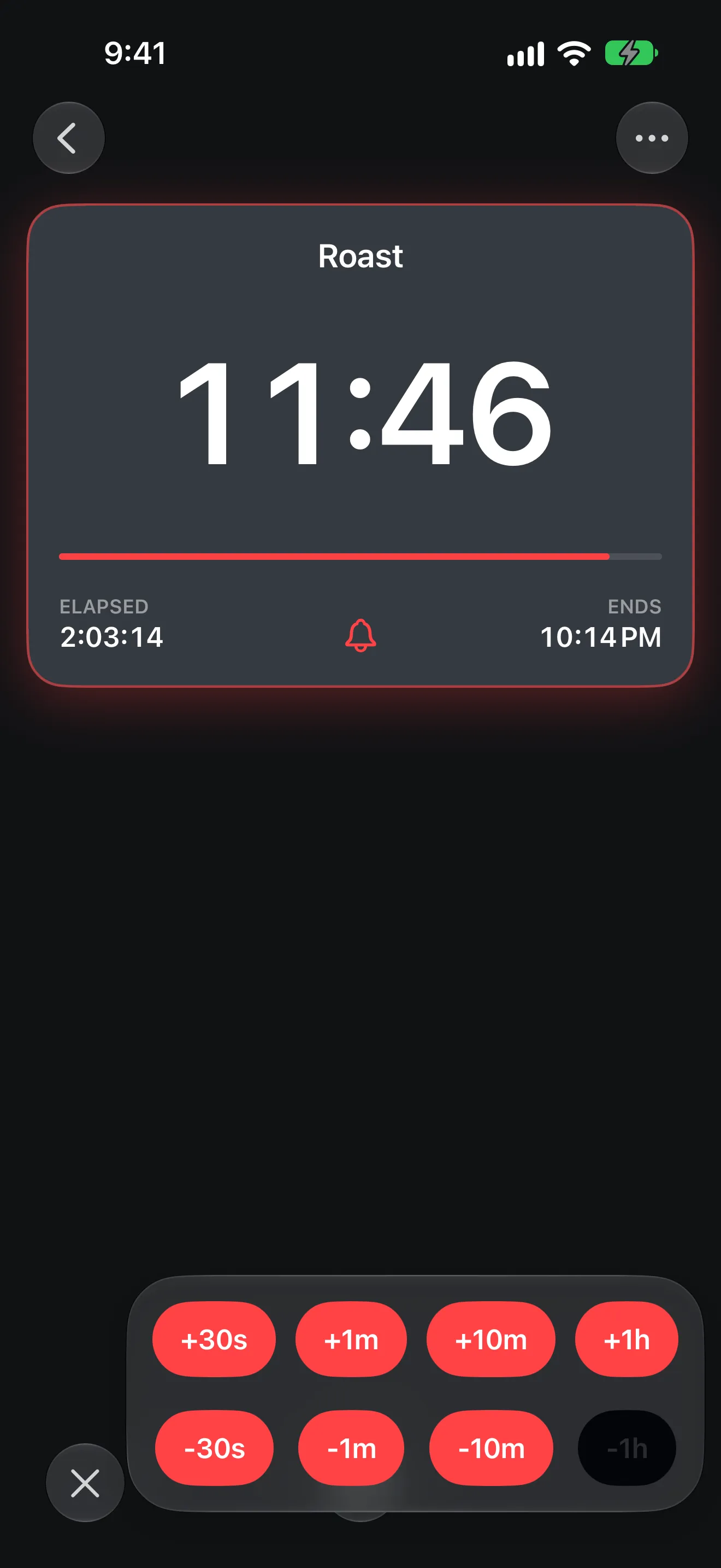 Screenshot of Timer+ showing a roast timer running and controls to adjust its remaining time.